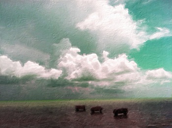Print - Clouds and Dock