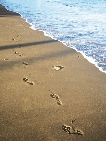 Print - Footsteps