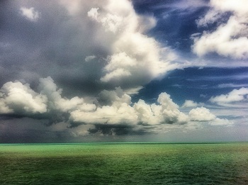 Print - Green Sea