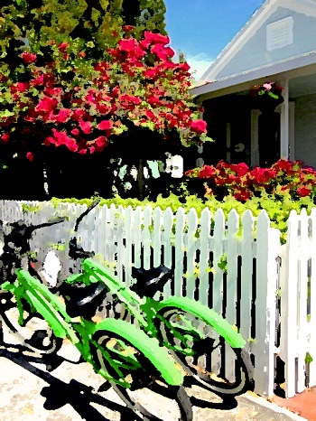 Print - Green Bikes