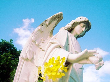 Print - KW Angel, Yellow Flowers