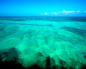 Print - Ocean Keys, Turquoise
