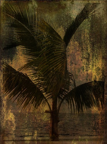 Print - Palm, Ancient