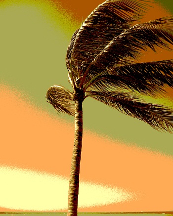 Print - Palm, Breezy