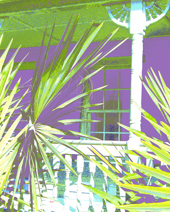 Print - Palm Porch, Lavendar