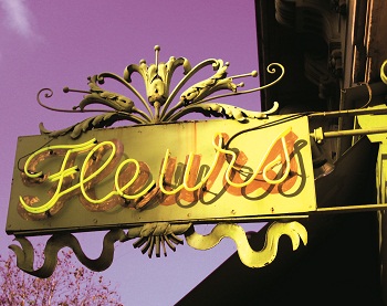 Print - Paris Fleurs