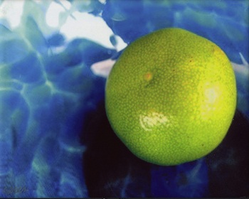 Print - Pool Lime