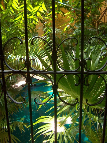 Print - Pool Through Gate