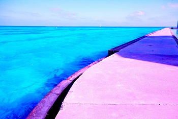 Print - Walkway Ft. Jeff