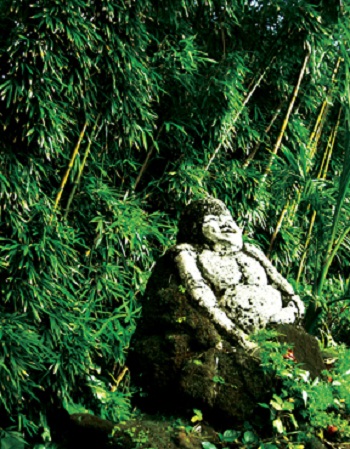 Print - Buddah, Green Bamboo