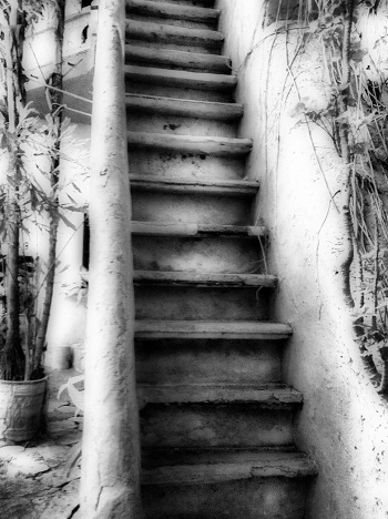 Print - Mayaland Staircase