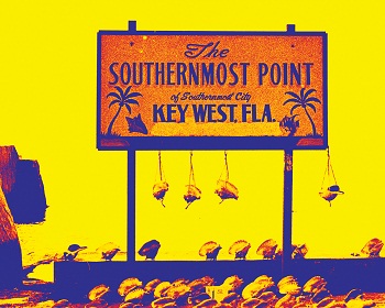 Print - Southernmost Conch Shells
